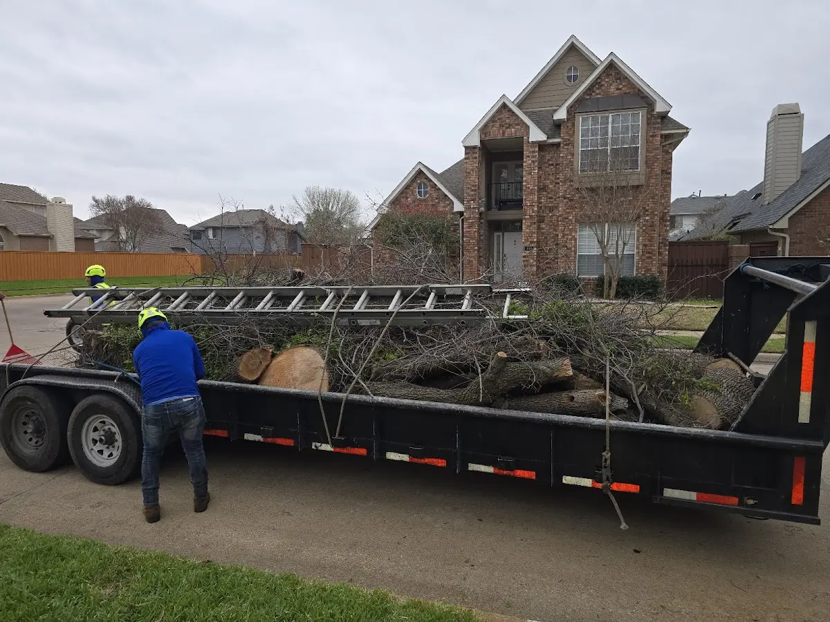 Expert Tree Pest Control with proper safety equipment in Jonesboro